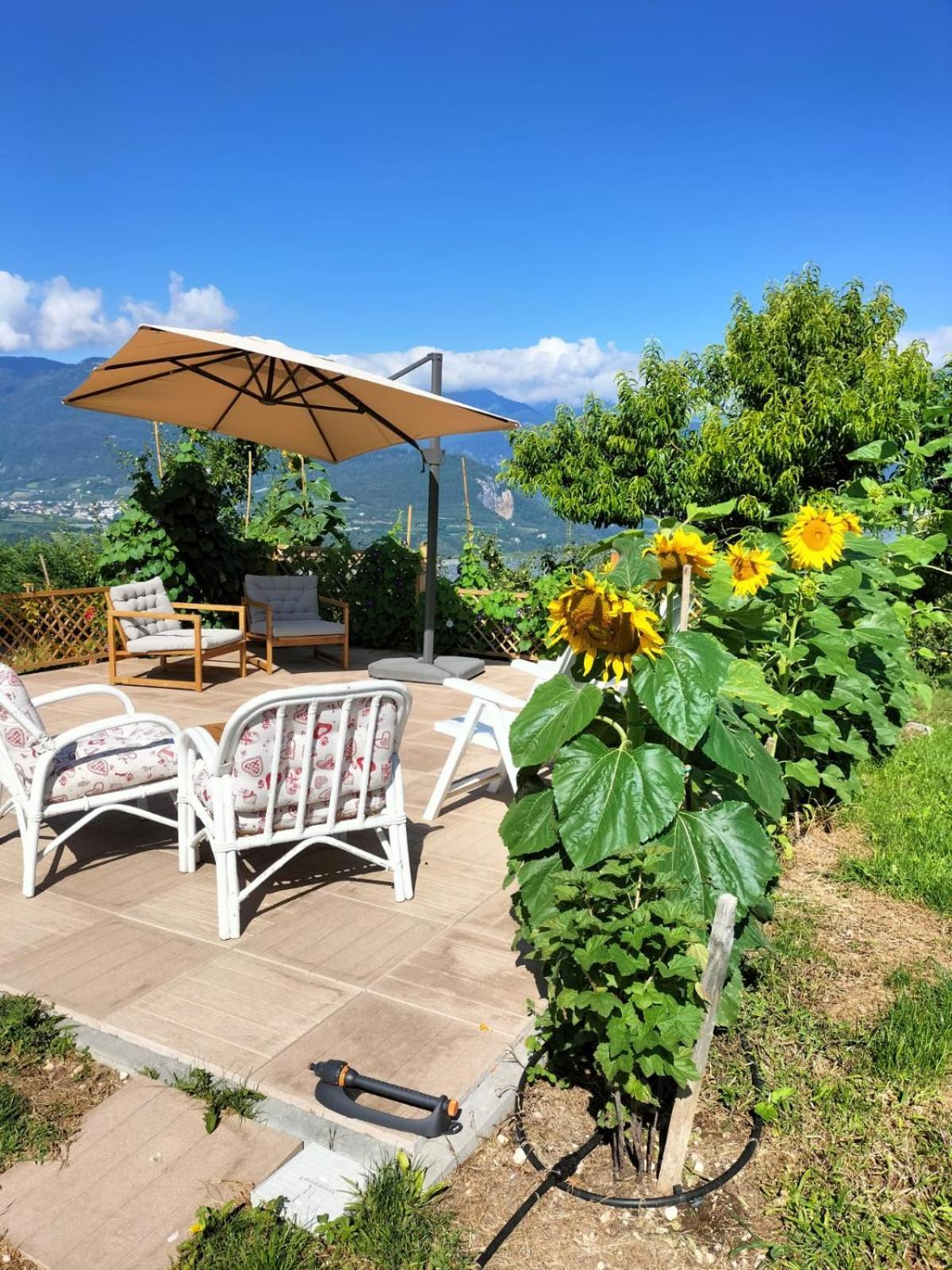 I Girasoli Sanzeno Kültér fotó