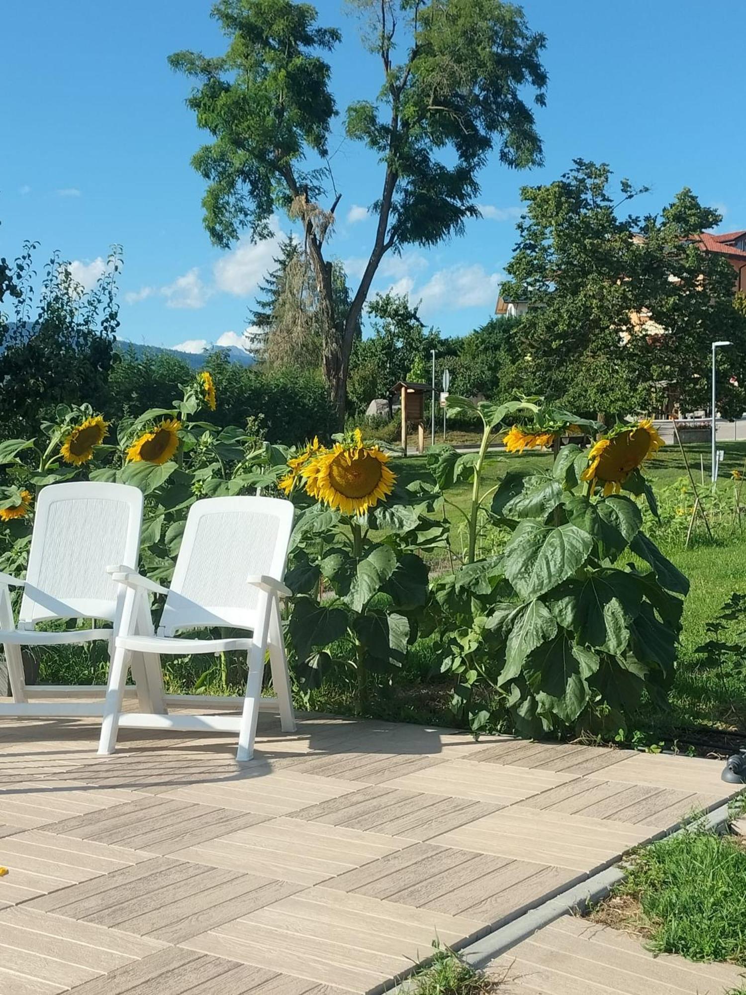 I Girasoli Sanzeno Kültér fotó