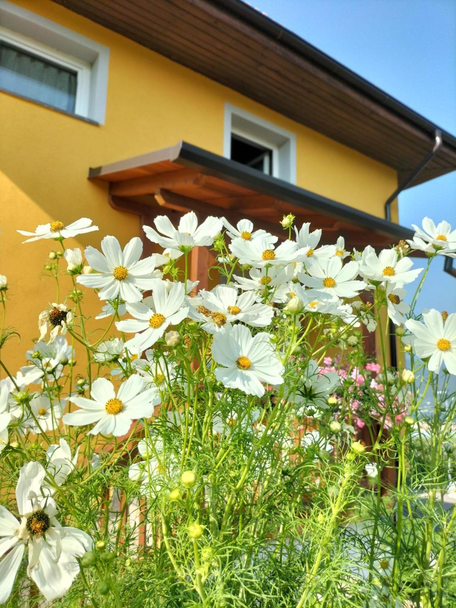 I Girasoli Sanzeno Kültér fotó